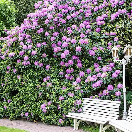 Bathmann Pensjonat Loxstedt